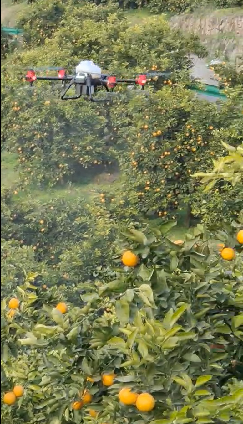 XP2021款果树作业视频 ,果树自由航线测试