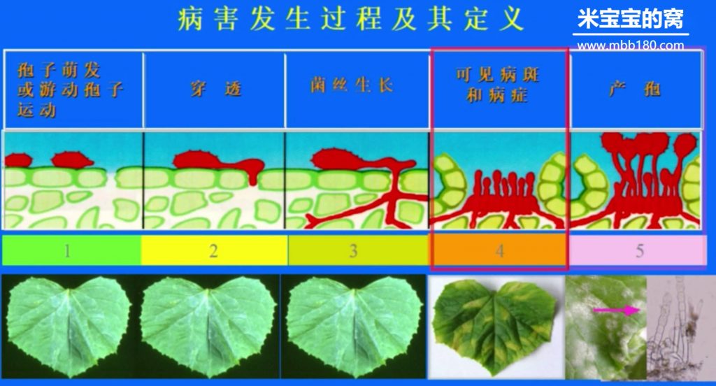农药学之化学杀菌剂(一)