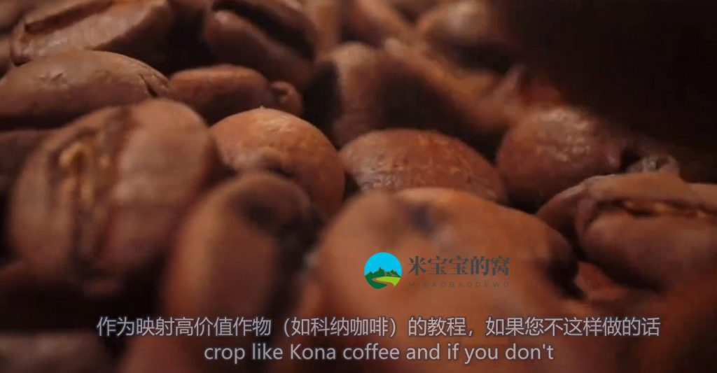 如何用无人机绘制高价值作物