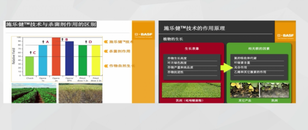 农药学之化学杀菌剂(二)