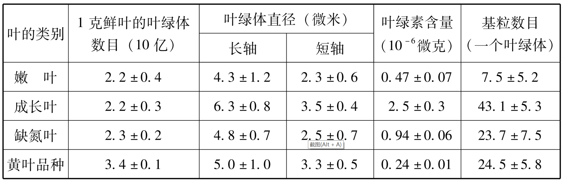 水稻叶的光合作用