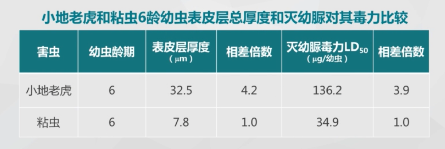 杀虫剂对昆虫体壁的穿透