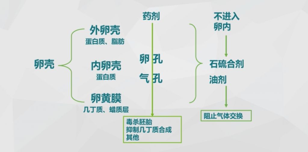杀虫剂对昆虫体壁的穿透