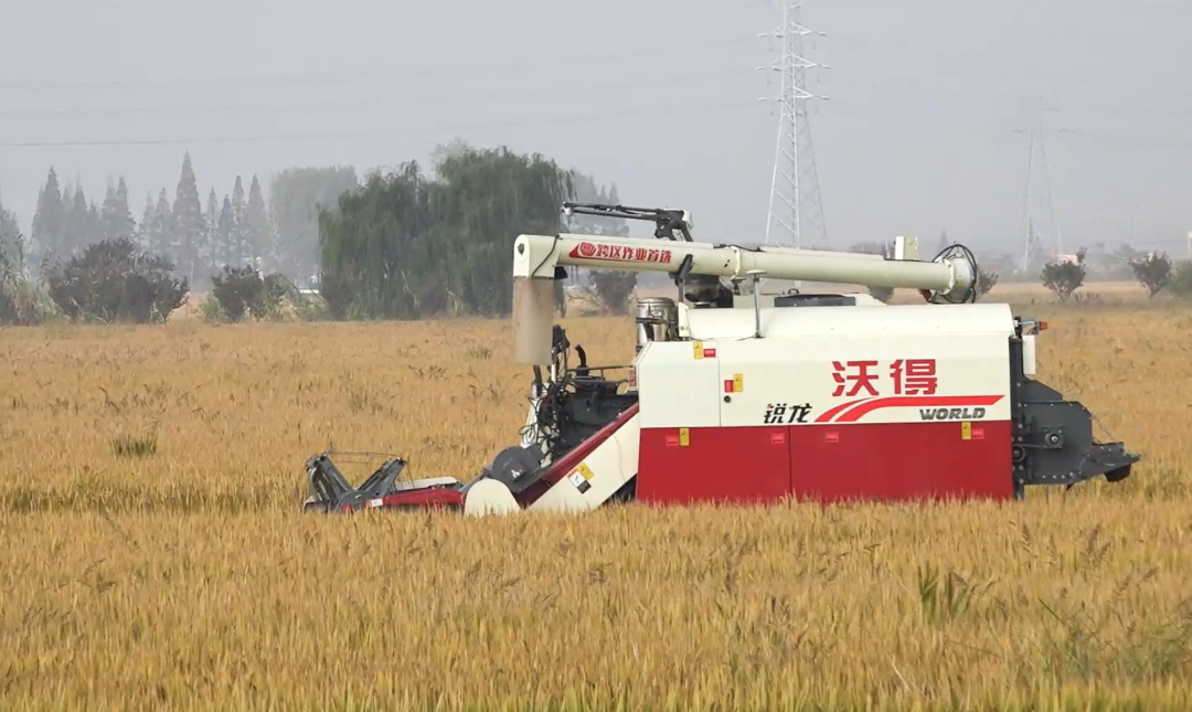 耕种管收自动化作业,沃得农机助力无人农场喜迎丰收