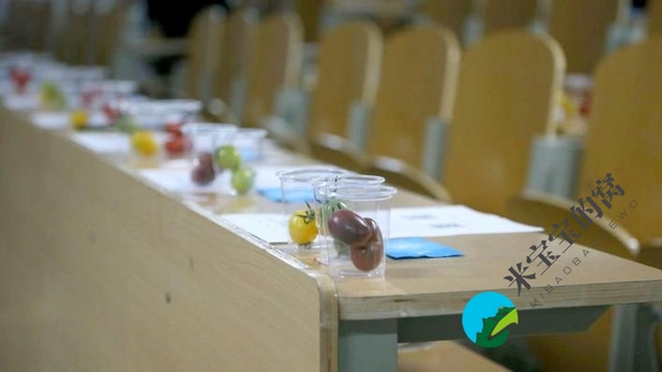 “2022年最受消费者喜爱的樱桃番茄” 评选活动第一轮初赛结束