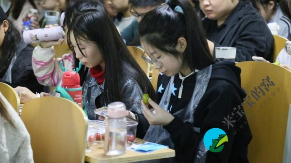 “2022年最受消费者喜爱的樱桃番茄” 评选活动第一轮初赛结束