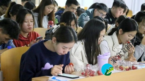“2022年最受消费者喜爱的樱桃番茄” 评选活动第一轮初赛结束