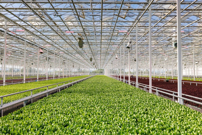 AppHarvest 的 15 英亩室内农场具有自动收割功能