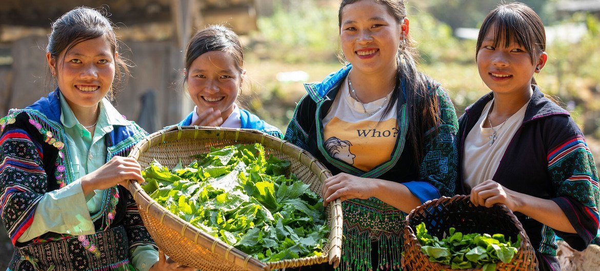 联合国粮农组织：世界近半数人口家庭依靠农业粮食体系谋生